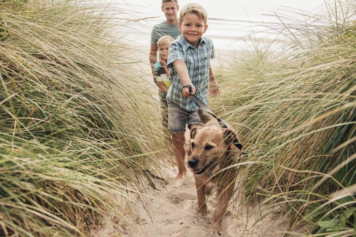 Vacaciones con perro en Baleares