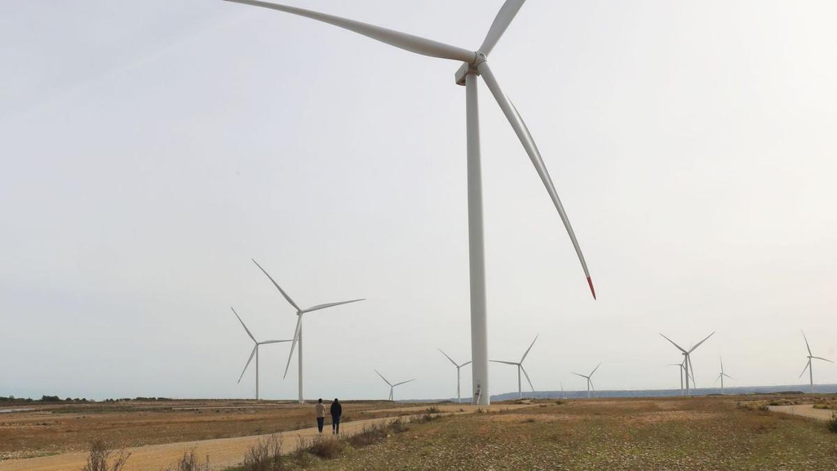 Molinos de viento en el término municipal de La Muela, uno de los más vinculados a las renovables. | ÁNGEL DE CASTRO