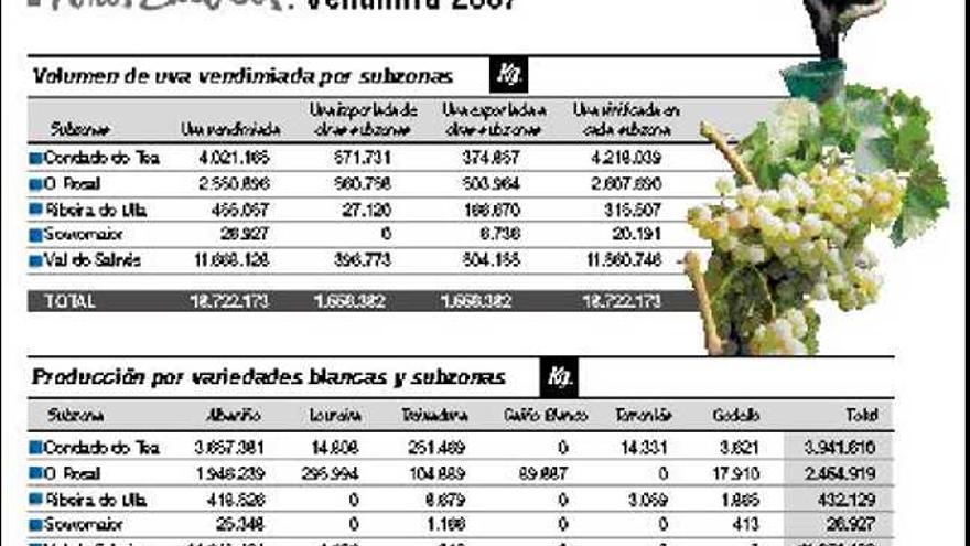 Rías Baixas cifra en 19 millones de kilos una vendimia dominada por O Salnés