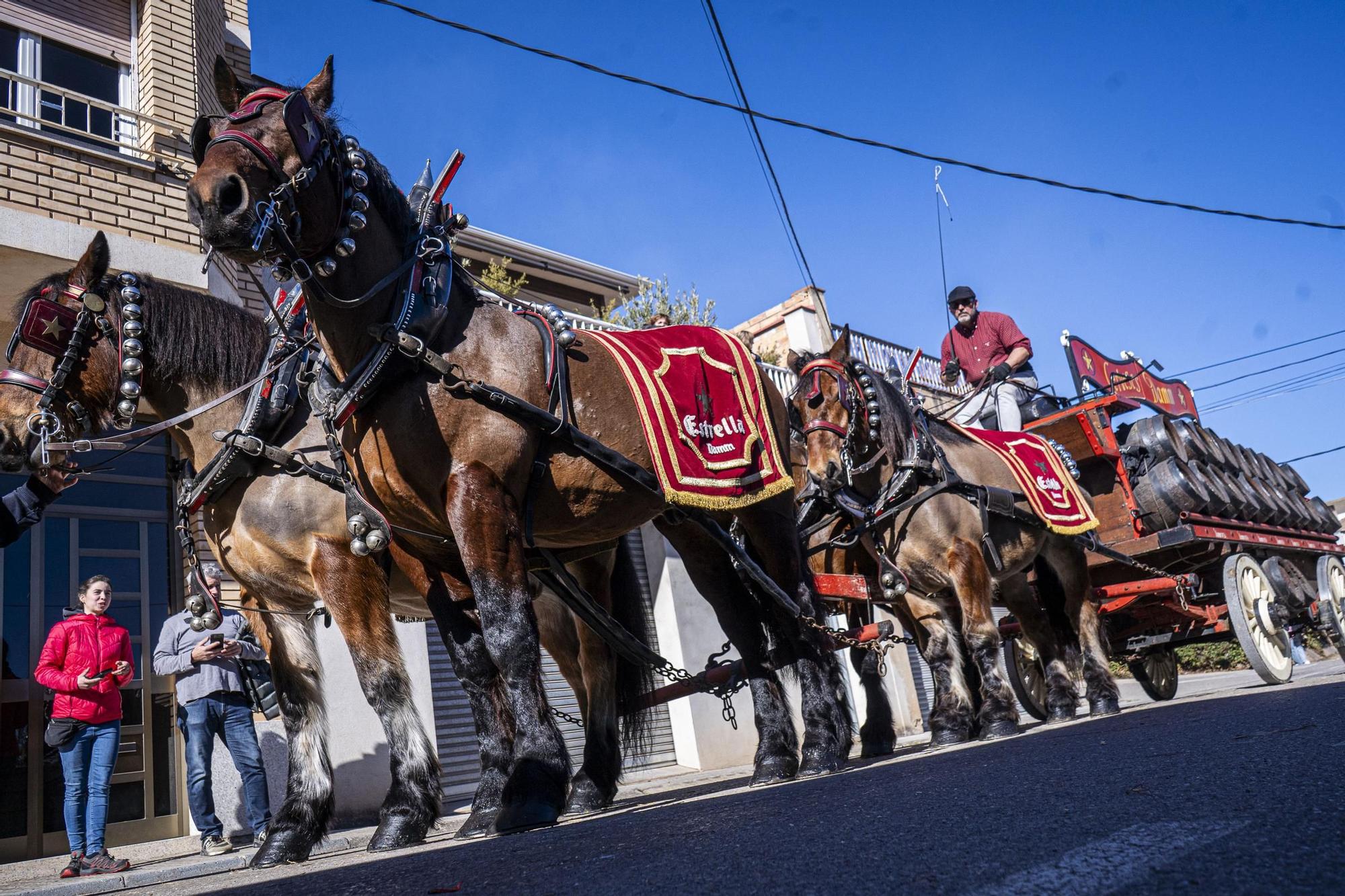 Troba't a les imatges de la Festa dels Traginers 2024