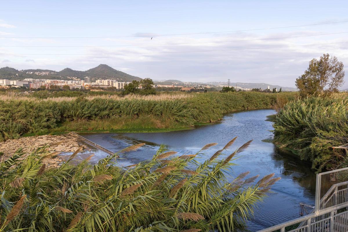 Riu Llobregat, en su paso por Sant Joan Despí