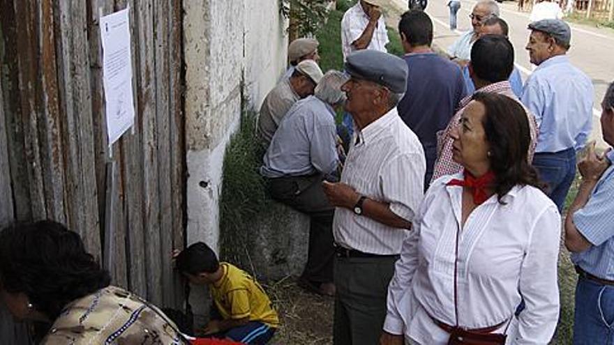 Un grupo de aficionados a los encierros taurinos lee el bando publicado por el Ayuntamiento de suspensión de los festejos al tiempo que unos niños observan los toros encuadrados en la corrala.