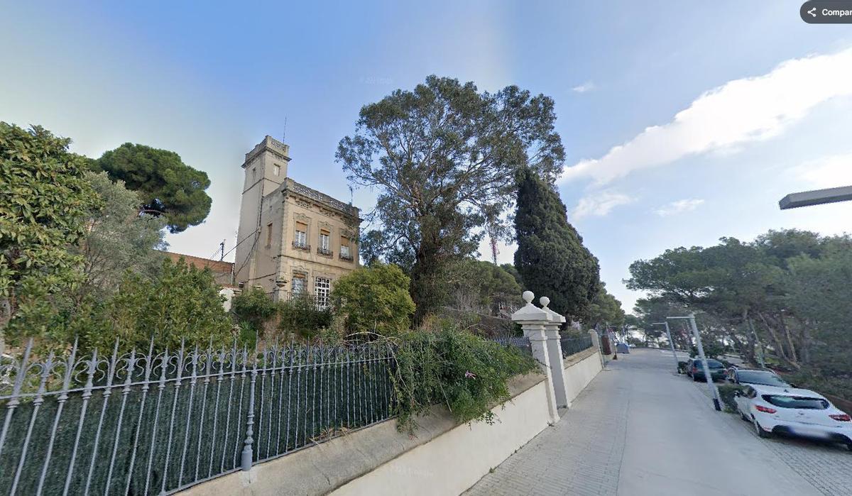 Eucalipto catalogado en la calle de Labèrnia, 2, cerca del mirador del Turó de la Rovira