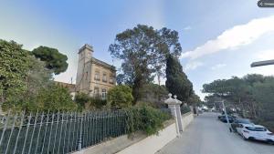 Eucalipto catalogado en la calle de Labèrnia, 2, cerca del mirador del Turó de la Rovira