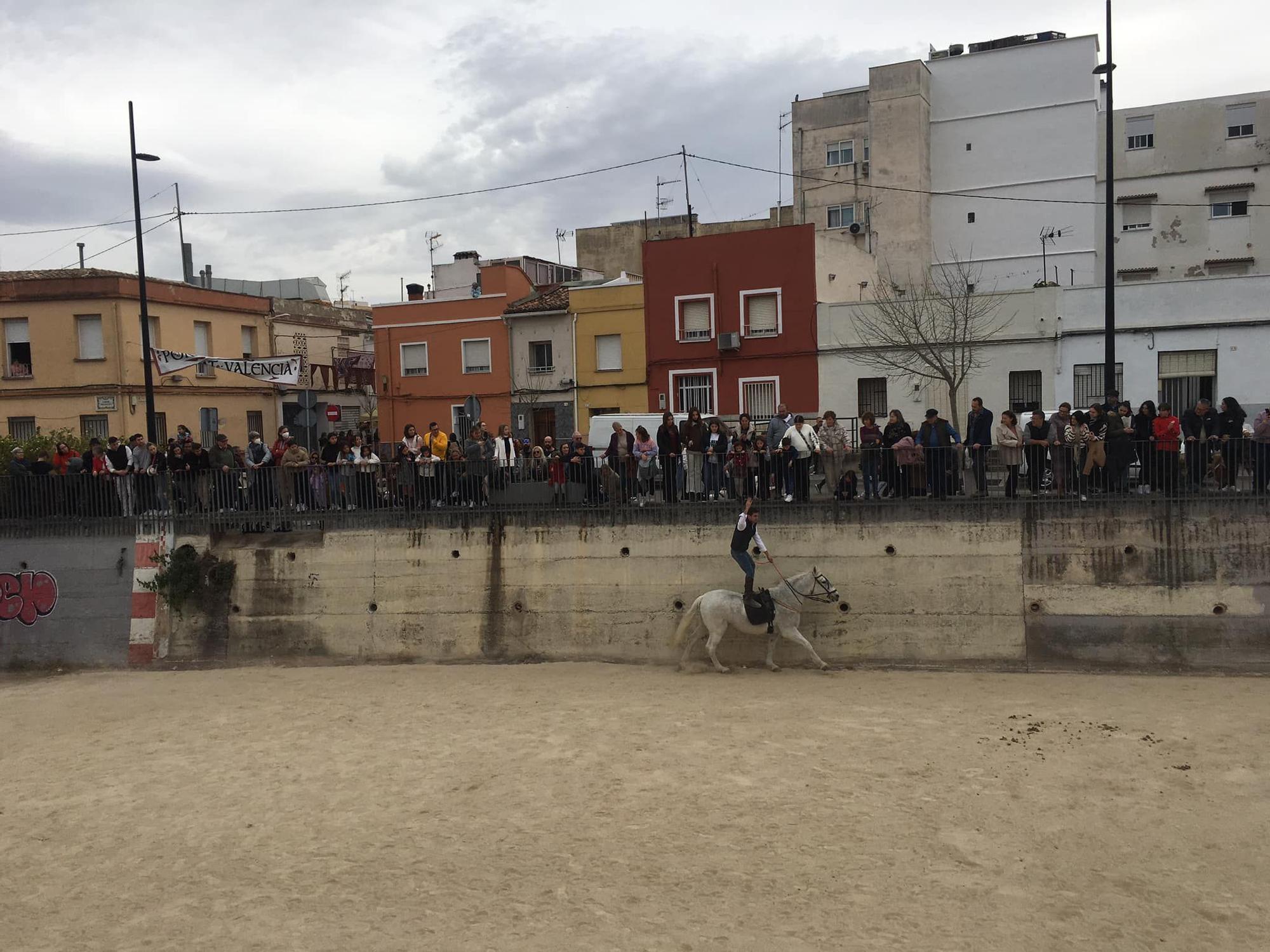 Así ha sido el 'porrat' de Sant Antoni en Beniopa