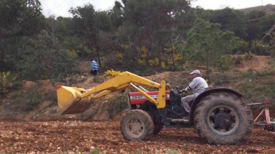 Un tractor arando la tierra en la zona que rodea el acceso al Roldán, en una imagen tomada  ayer