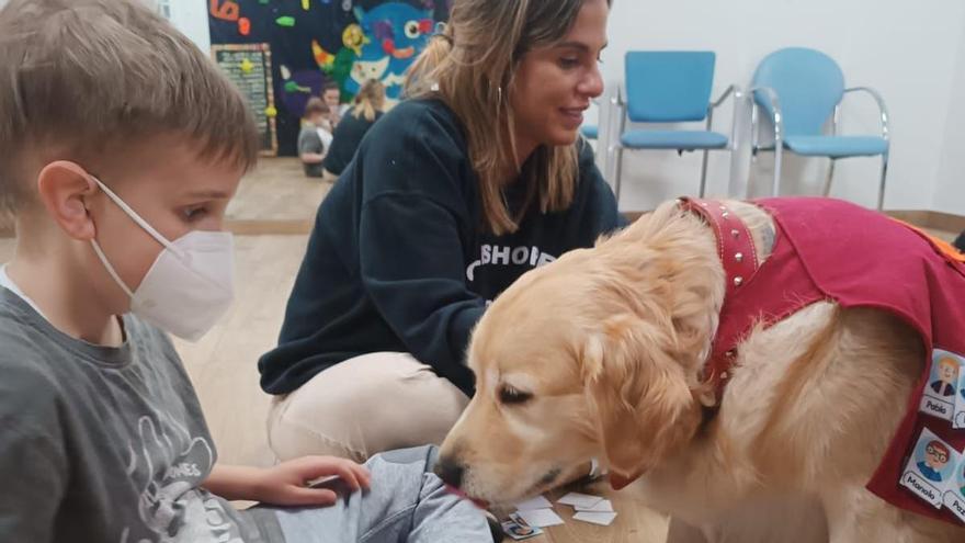 Terapia asistida con perros en el Hospital Vithas Aguas Vivas.