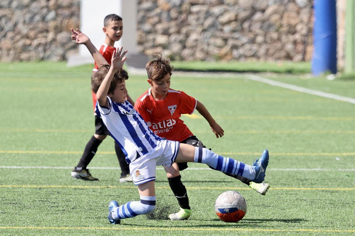 Galería: Búscate en la jornada dominical del Torneo Primer Toque