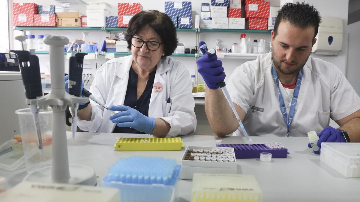 Investigadores de Alicante descubren un biomarcador que mejora el pronóstico del cáncer de mama más agresivo