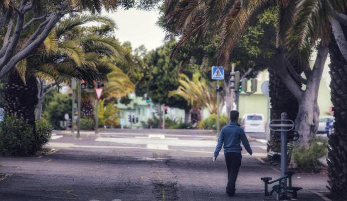 Paseo por Santa Cruz de Tenerife Paseo por Santa Cruz de Tenerife
