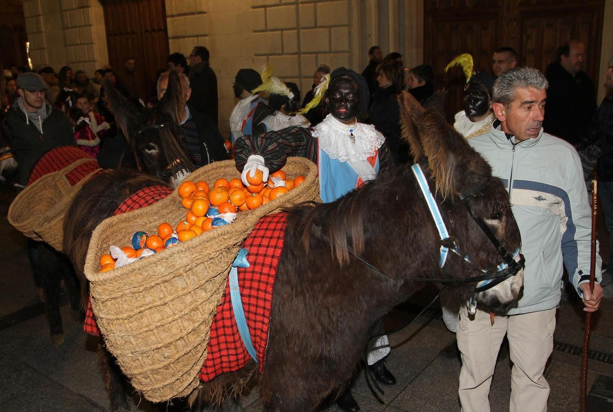 Uno de los burros durante un desfile.