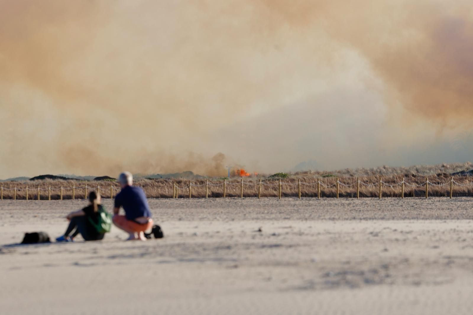 Declarado un incendio en el Saler