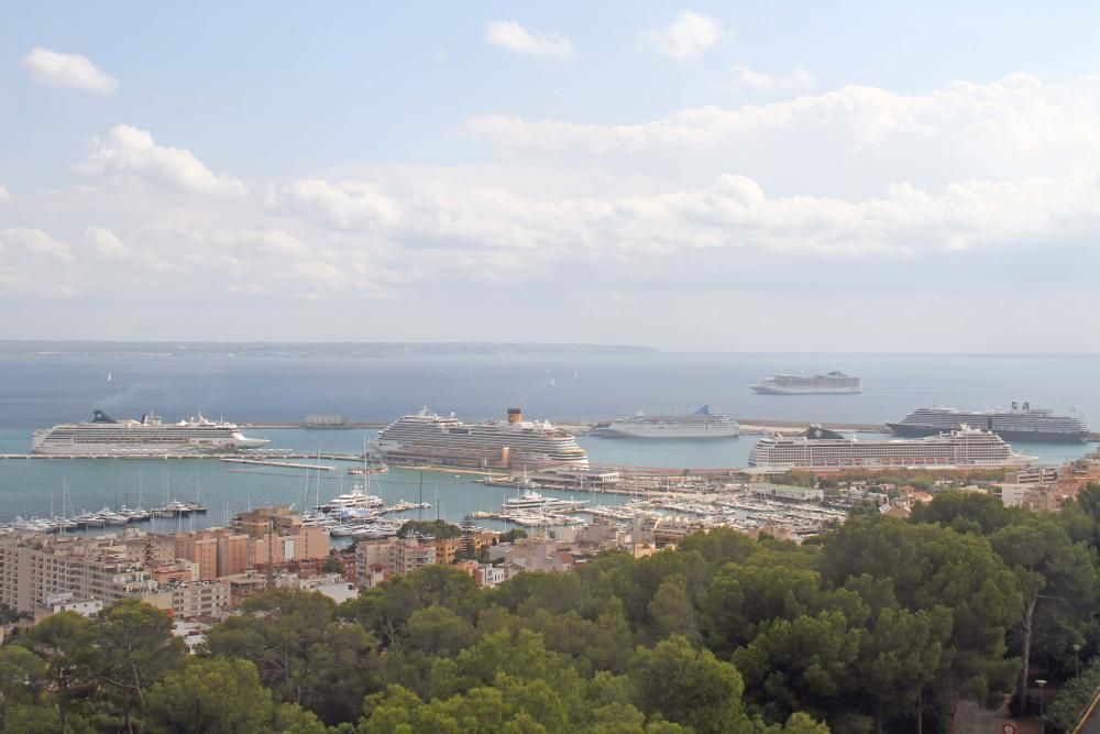 Kreuzfahrtschiffe zu Besuch im Hafen von Palma