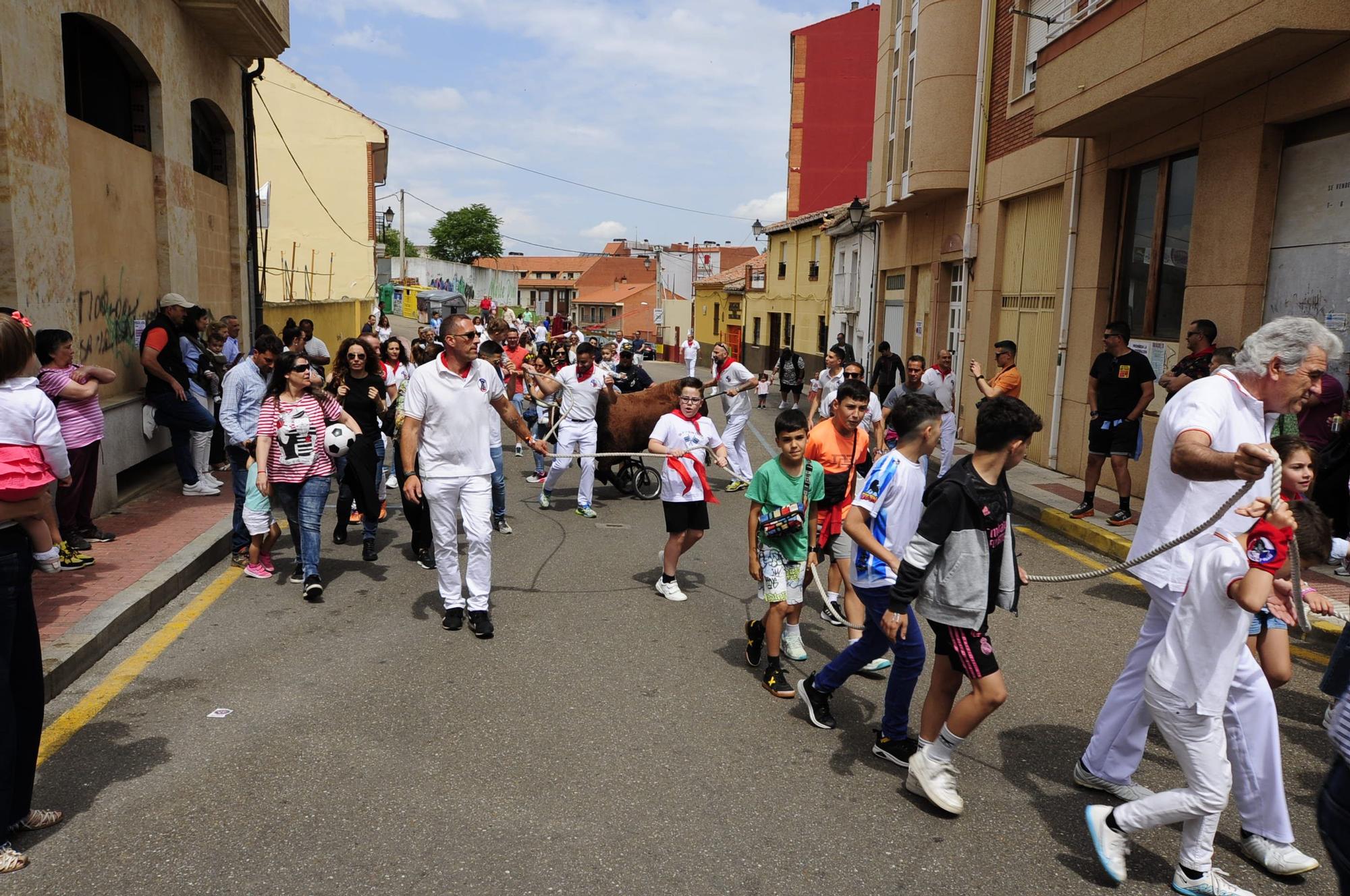 Los niños de Benavente dan el do de pecho en las Escuelas Taurinas