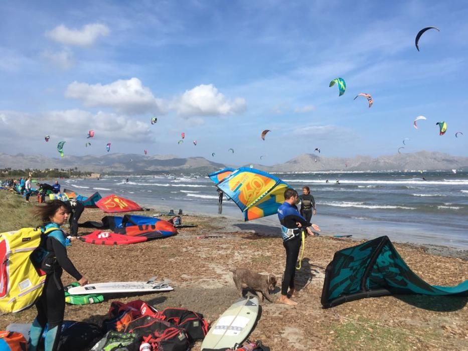 Medio centenar de kitesurfistas llenan la playa de es Barcarés de cometas