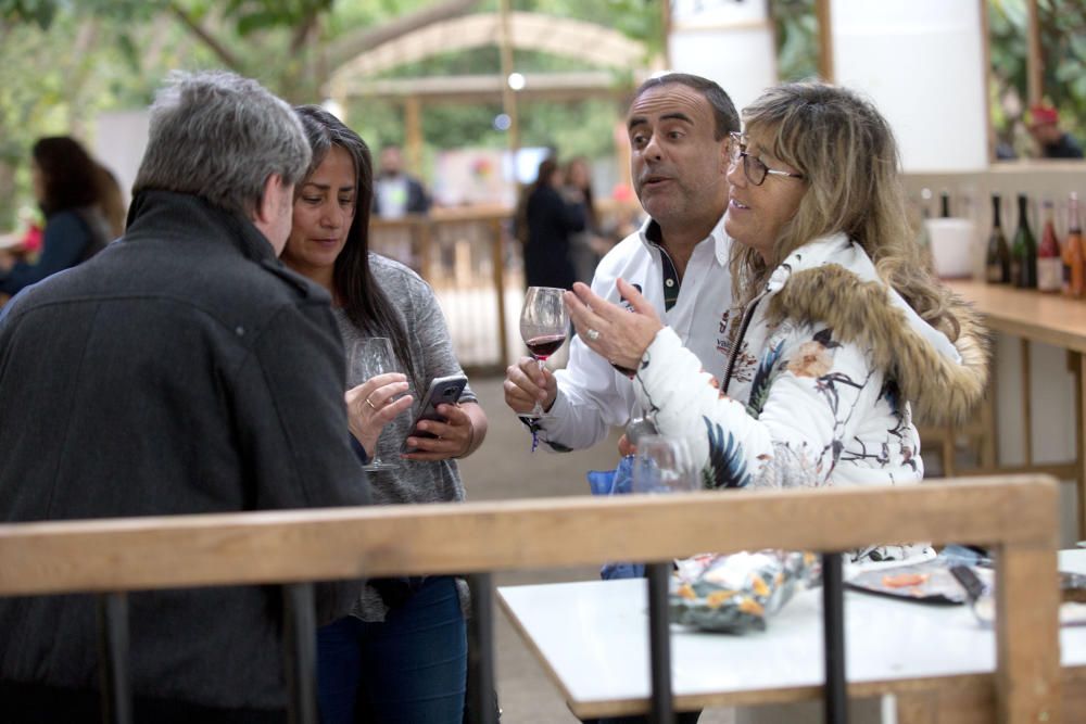 XXX Mostra de Vins de València