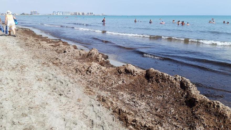 La playa Ensenada del Esparto de La Manga, hecha una &quot;porquería&quot;