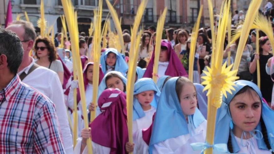 Semana Santa en Zamora: La Borriquita