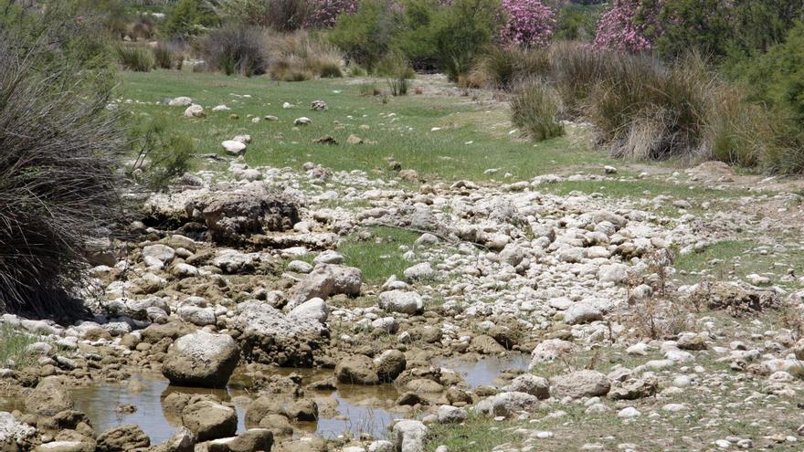 Carlet sancionará los vertidos tóxicos para proteger el río Magro