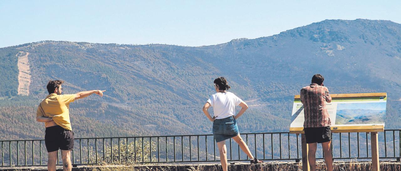 El valle de Ladrillar des del Mirador de Las Carrascas, esta semana.