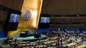 Asamblea General de la ONU