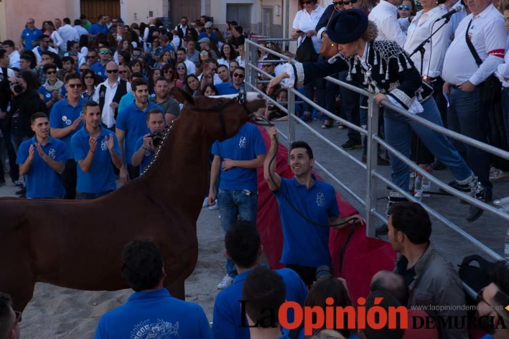 Día uno de mayo, entrada de caballos al Hoyo