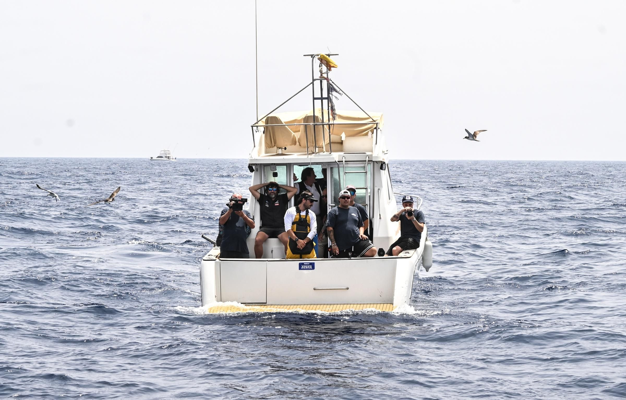Un día a bordo del Artic pescando atunes rojos para marcarlos con GPS