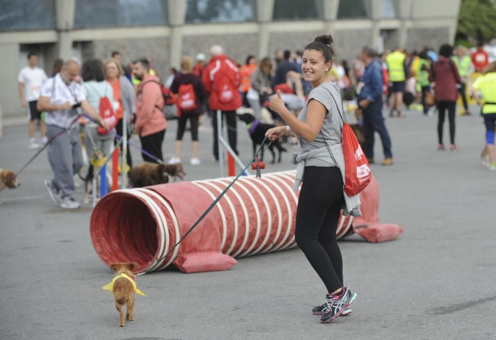 Correcán 2017 en A Coruña