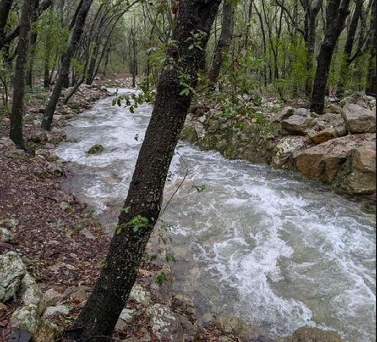 Am Dienstag (20.1.) sprudelten die Fonts Ufanes wieder bei Campanet