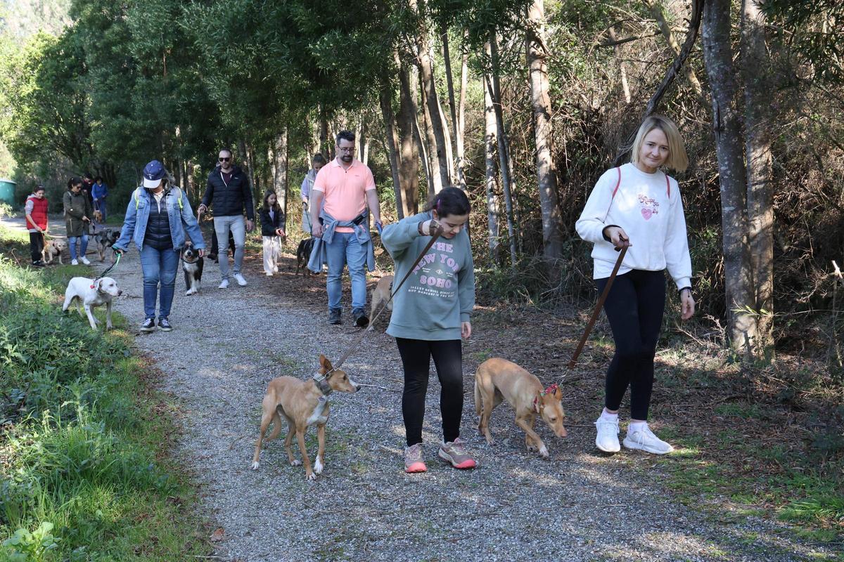 Un paseo por una buena causa: la protectora Os Biosbardos y FARO se unen en la suscripción solidaria