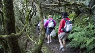 Caminar más rápido después de los 60: el cambio sencillo que mejora tu salud y previene la fragilidad