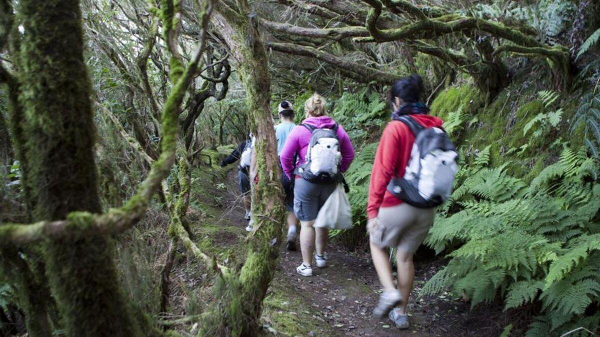 Varias personas practican senderismo, archivo.