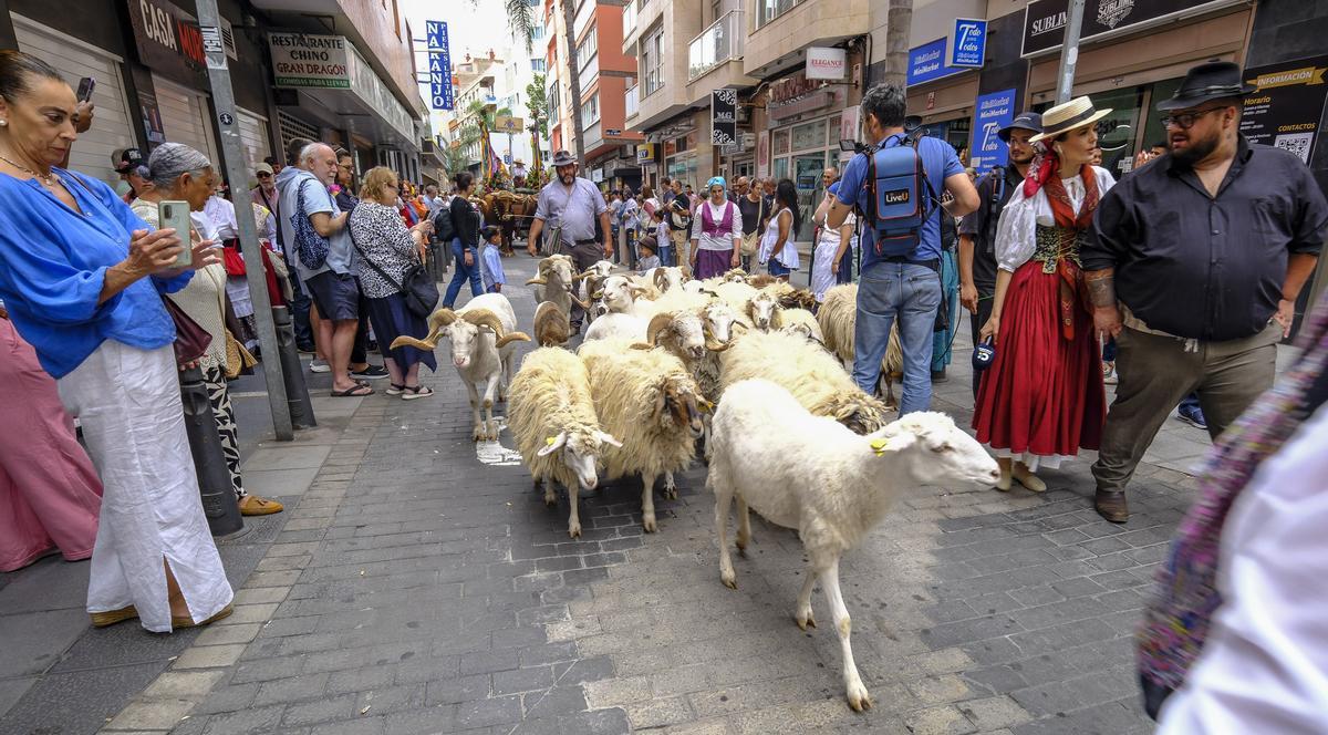 Paseo Romero de Las Canteras