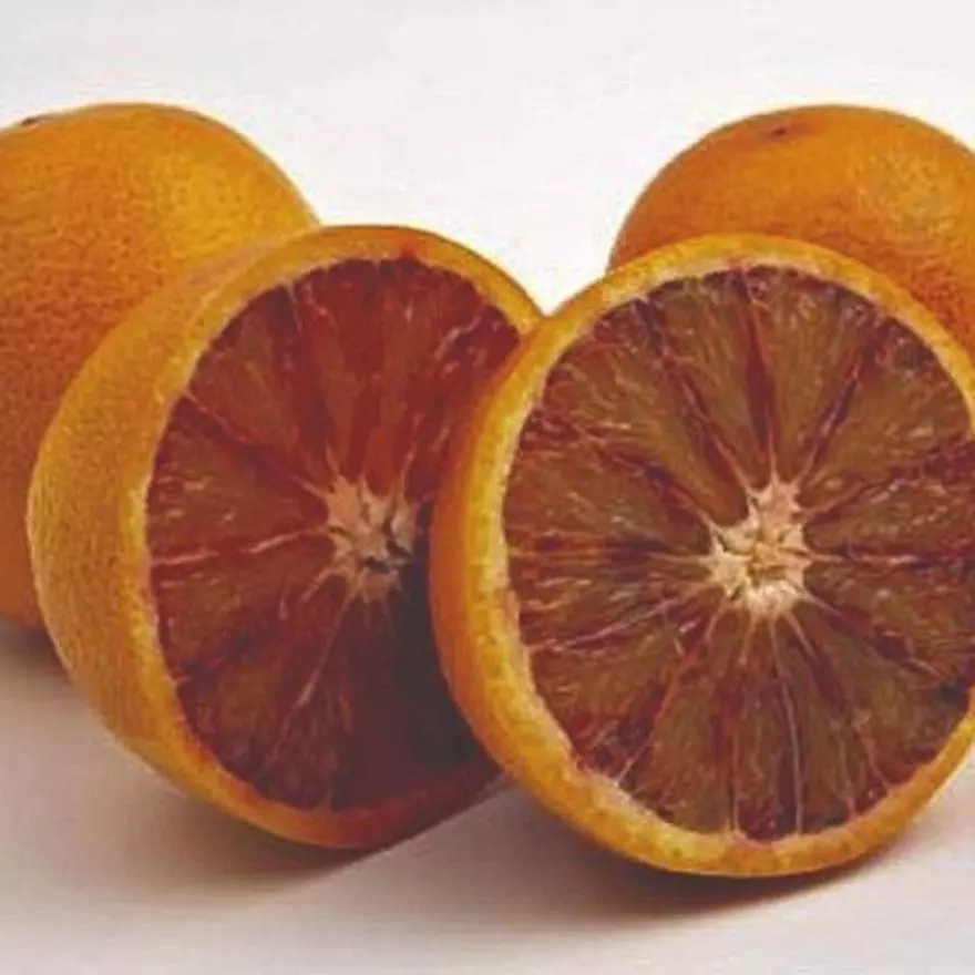 Naranja sanguina