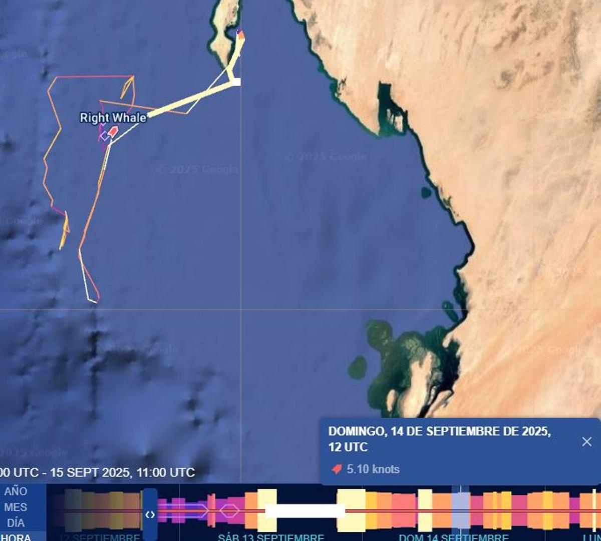 Trabajos de pesca del buque factoría en la zona del naufragio, el domingo día 14