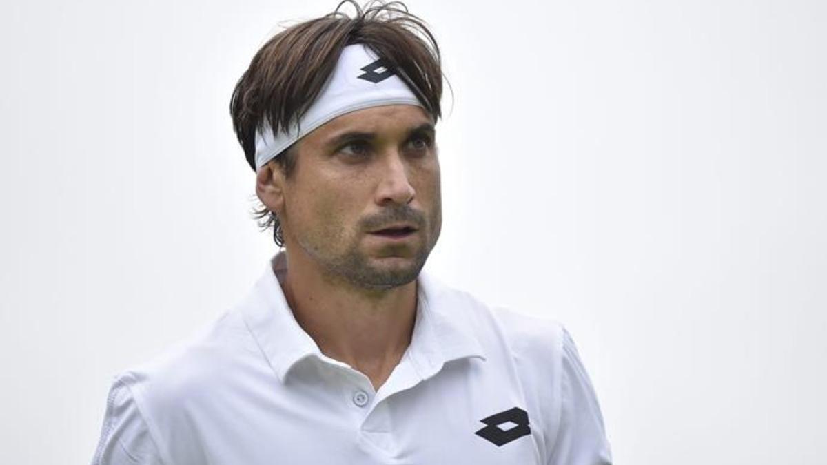 David Ferrer admite que esta vez ha tocado fondo