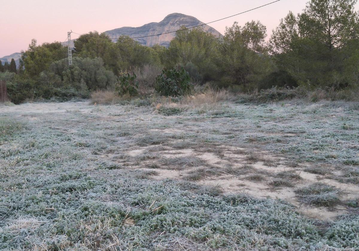 Suelo escarchado en la partida de Lluca de Xàbia