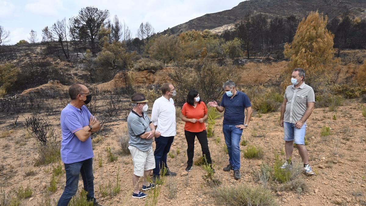 Cargos socialistas visitan la zona de Azuébar afectada por el incendo forestal