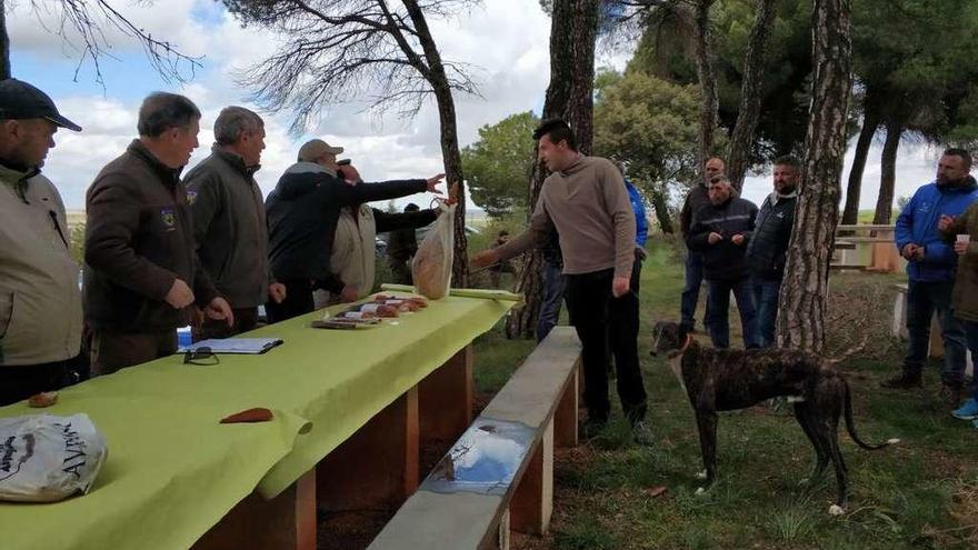 Entrega de los premios de las carreras de galgos en recta.