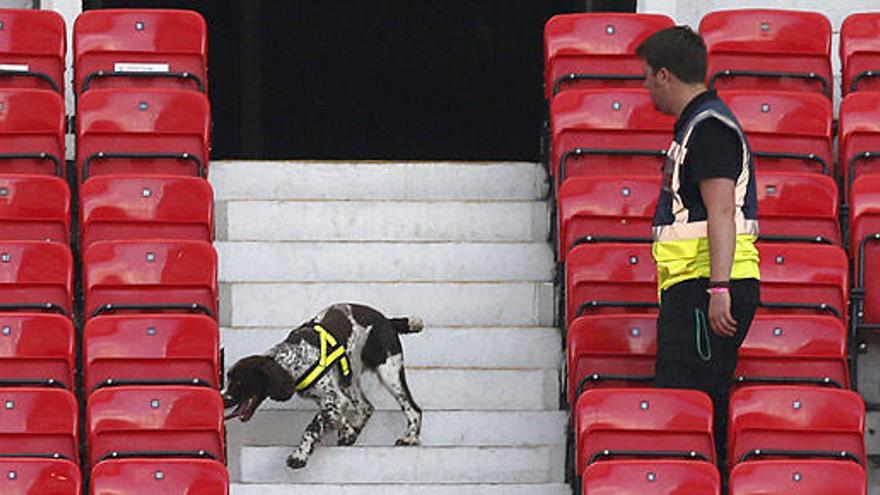 Un perro de detección de explosivos en Old Trafford.