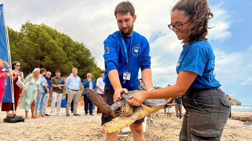 14 municipios de Castellón se unen a la estrategia para impulsar el rescate de tortugas