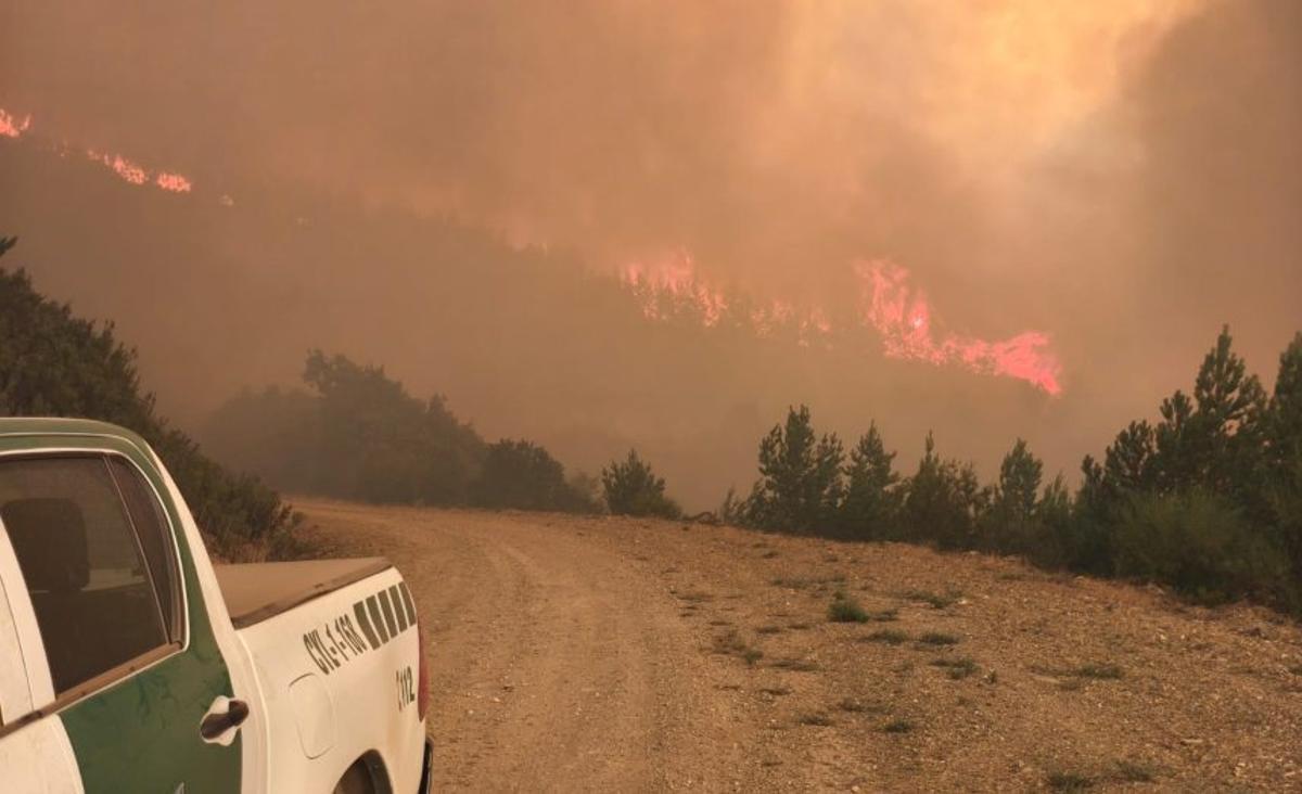 Fuego en Porto este verano.