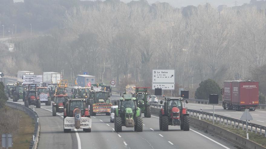 Girona ha perdut més de 400 explotacions agràries en 4 anys