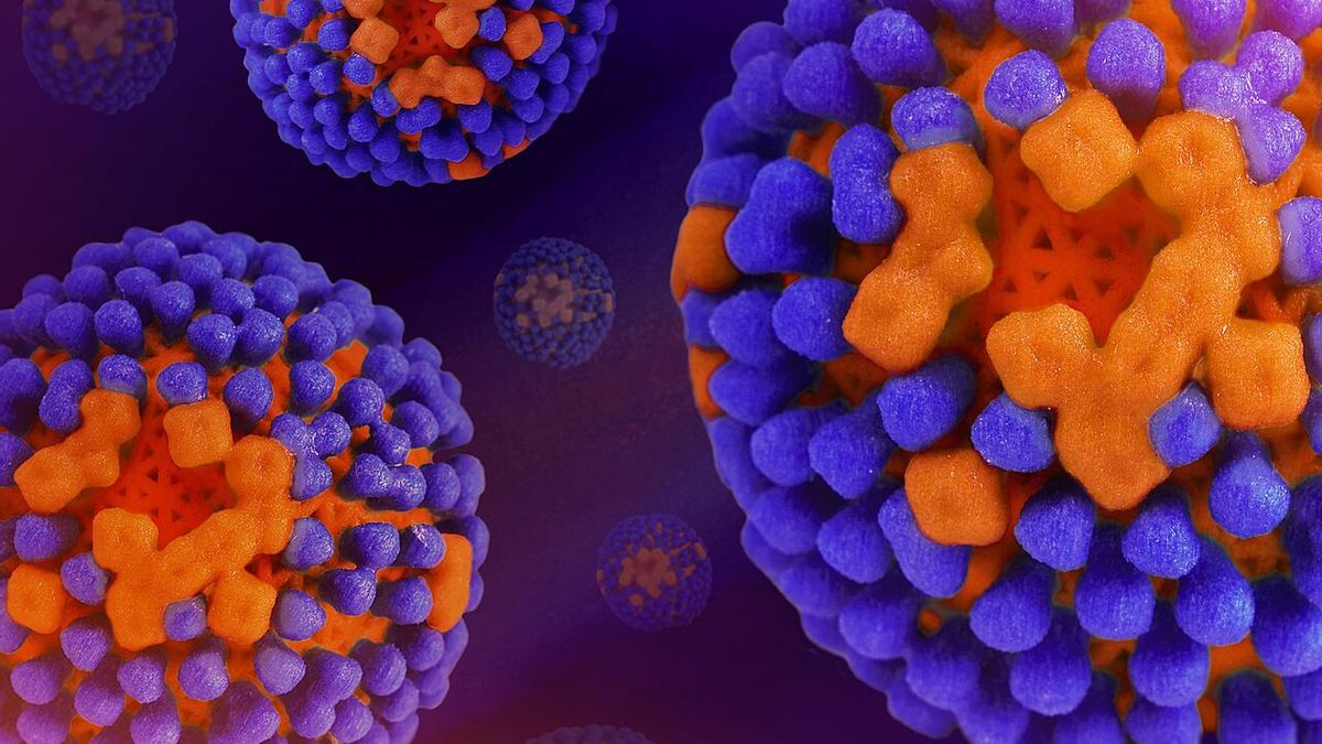 Recreación coloreada del virus de la gipe: la glicoproteína hemaglutinina es azul, la neuraminidasa es naranja y la membrana viral es de un naranja más oscuro