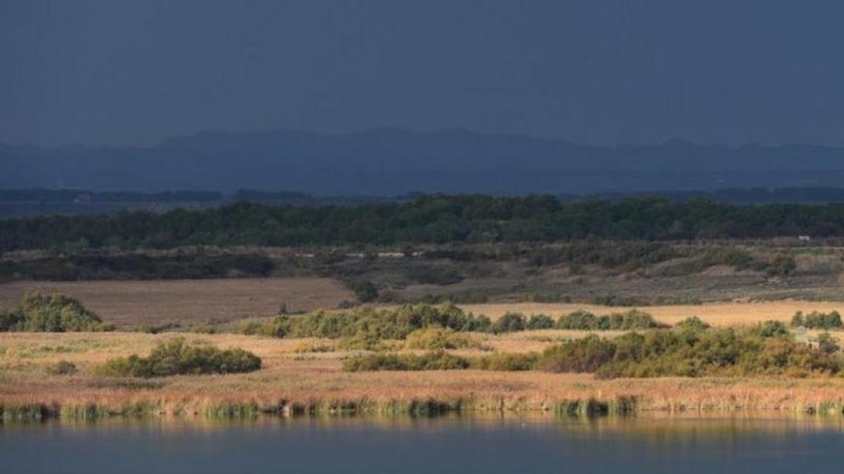 Humedal singular de la Laguna de Sariñena.