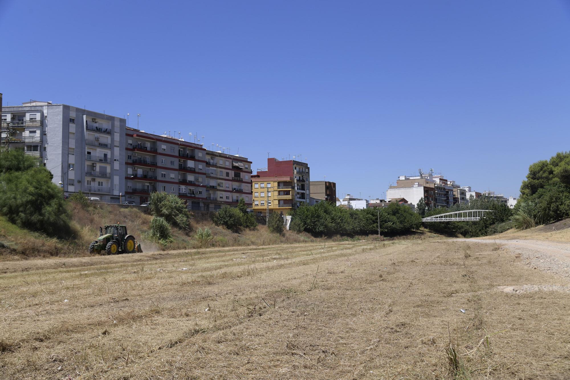 Paiporta lleva a cabo la limpieza anual del barranco