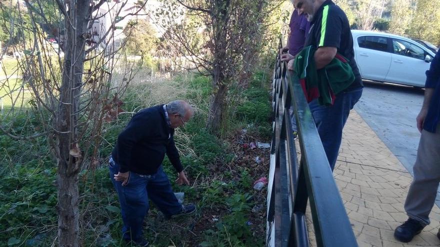 Una porción de zona verde junto a Cortijillo Bazán, sin mantenimiento ni riego automático.