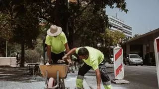 El Govern reclama a las empresas reforzar la prevención frente al calor: "Proteger la salud de los trabajadores es una prioridad"