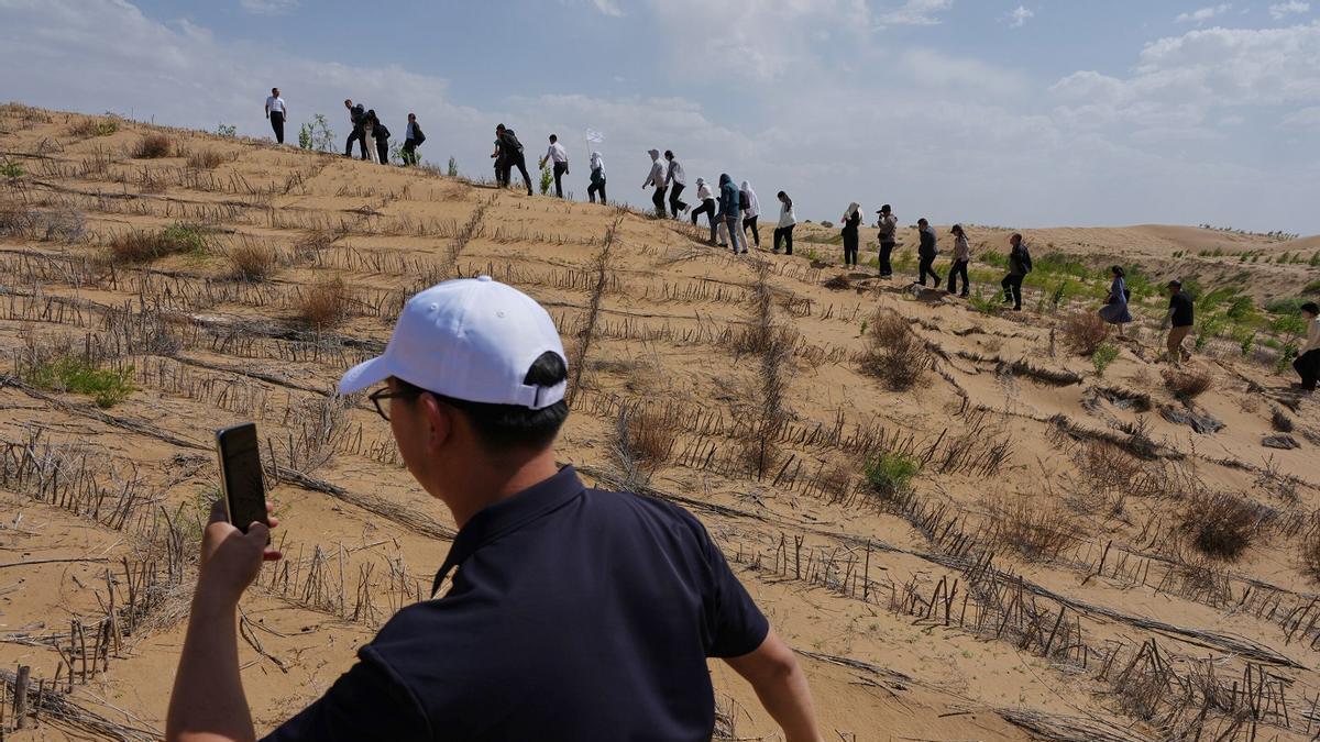 GRAN MURALLA VERDE CHINA | 300 millones de trabajadores y una estrategia de décadas: así está disparando China su superficie forestal