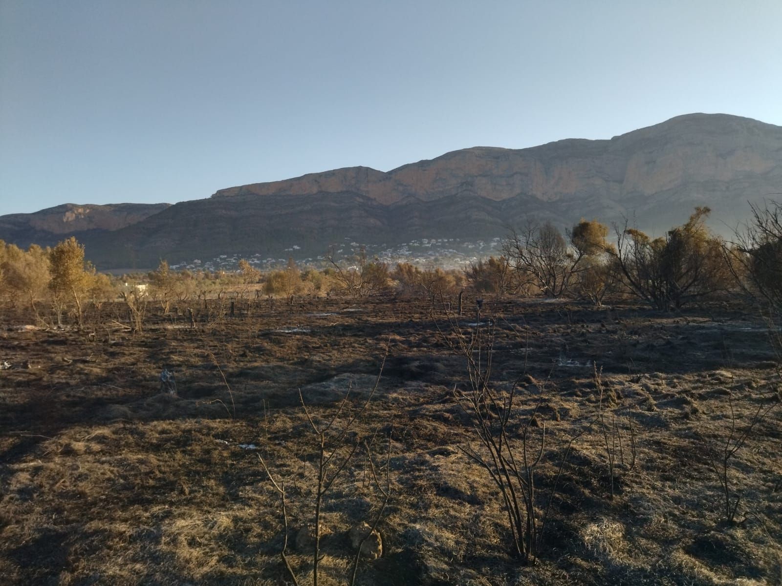 El valle agrícola del Montgó, reducido a cenizas (imágenes)